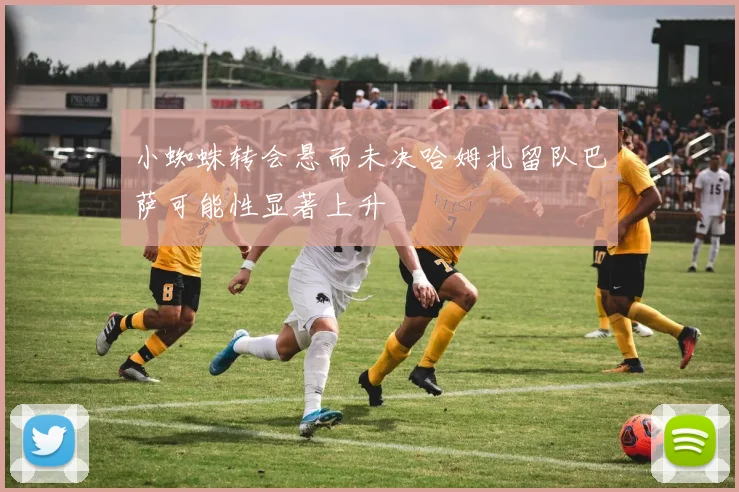 小蜘蛛转会悬而未决哈姆扎留队巴萨可能性显著上升