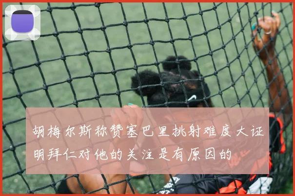 胡梅尔斯称赞塞巴里挑射难度大证明拜仁对他的关注是有原因的