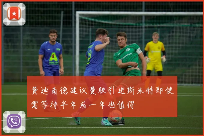 费迪南德建议曼联引进斯米特即使需等待半年或一年也值得
